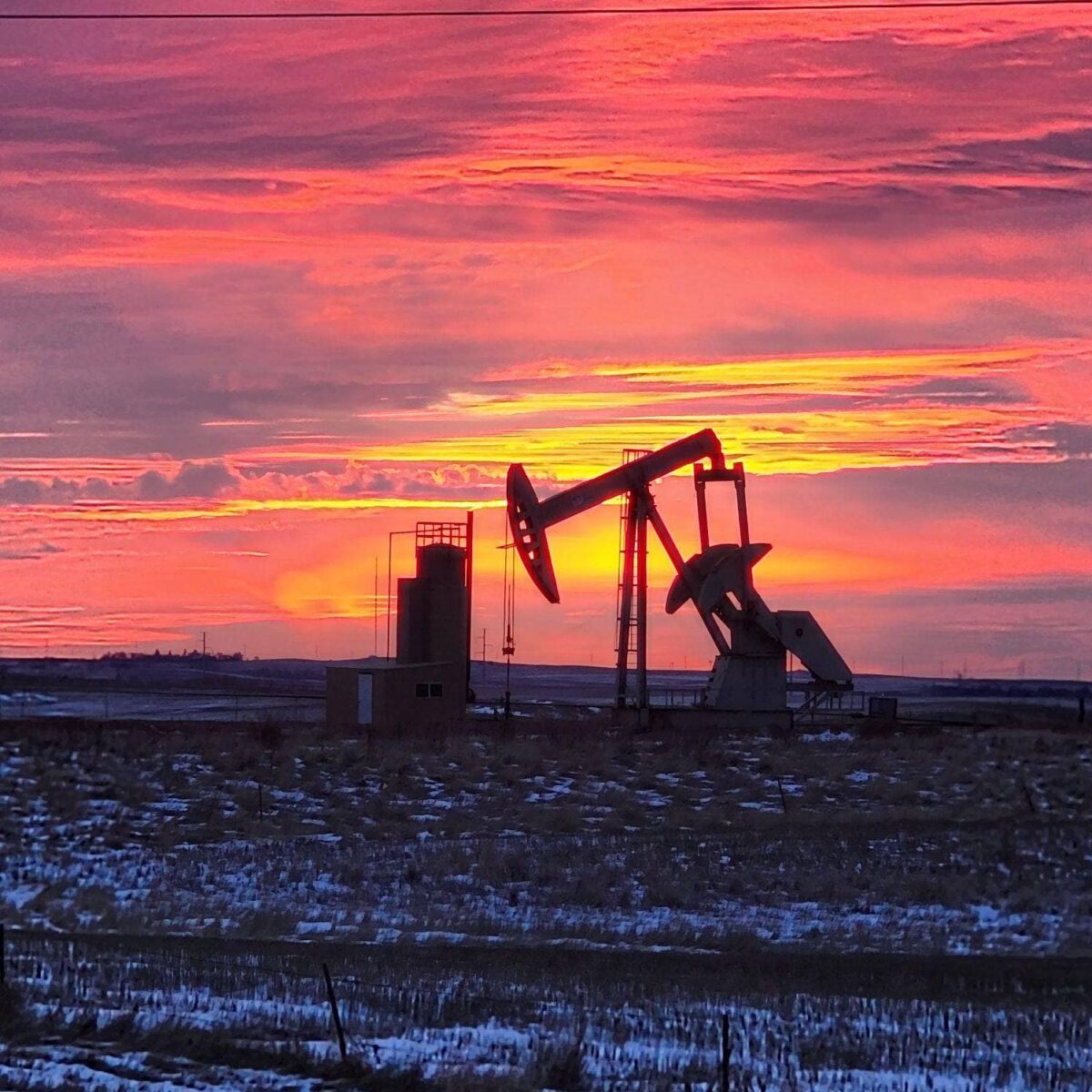 Oil Field